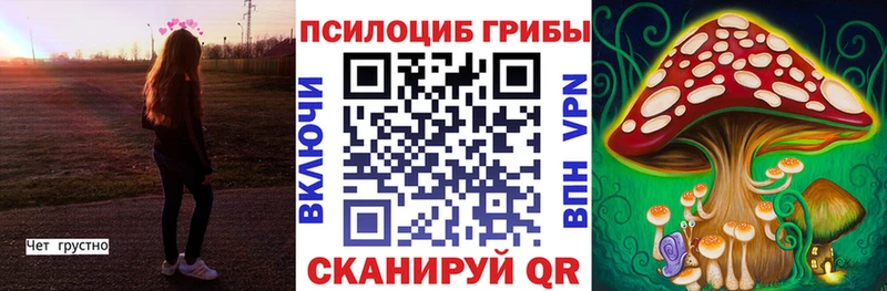 хочу Себеж Псилоцибиновые грибы Psilocybine cubensis